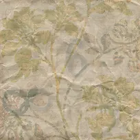 �ŵ仨�Ʊ���-������