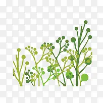 绿色的草-空若网 绿色的草-空若网