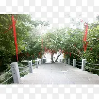 楼梯旁边的许愿树-空若网 楼梯旁边的许愿树-空若网