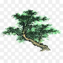 手绘绿色的树-空若网 手绘绿色的树-空若网