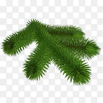 圣诞节装饰杉树枝-空若网 圣诞节装饰杉树枝-空若网