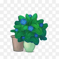 盆栽装饰素材兰花-空若网 盆栽装饰素材兰花-空若网