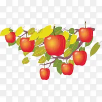 ��ͨ�ֻ�ƻ����-������