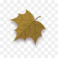 枫叶-空若网 枫叶-空若网