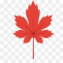 ʸÁ¿ºìÉ«ÇïÌì·ãÒ¶-¿ÕÈôÍø ʸÁ¿ºìÉ«ÇïÌì·ãÒ¶-¿ÕÈôÍø