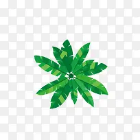 俯视芭蕉树-空若网 俯视芭蕉树-空若网