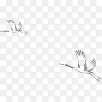 矢量仙鹤-空若网 矢量仙鹤-空若网