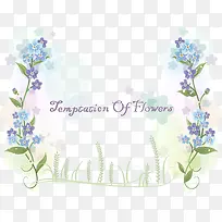 兰花薰衣草-空若网 兰花薰衣草-空若网