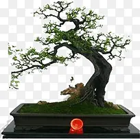 ����-������