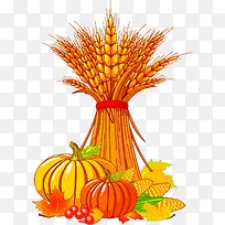 ��ɫ���Ȱ��ڽ���-������