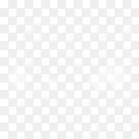 �������ľ��û��Ҷ�ӵ���֦����-������