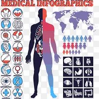 人体器官技能数据分析图表-空若网 人体器官技能数据分析图表-空若网