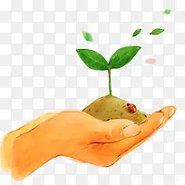 手捧草-空若网 手捧草-空若网