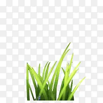 һ��С��-������