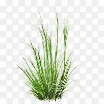 һ��С��-������