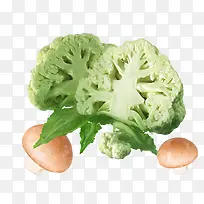 ����ʳ�Ļ�Ҭ��-������