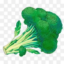 绿色花菜-空若网 绿色花菜-空若网