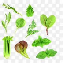 蔬菜集合-空若网 蔬菜集合-空若网