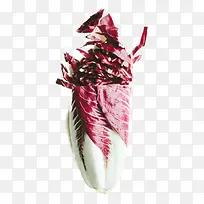 °×²Ë-¿ÕÈôÍø °×²Ë-¿ÕÈôÍø