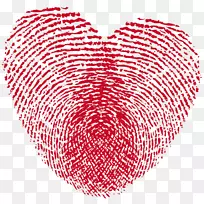 ָ��ʵʱɨ�谮��ָ��-������