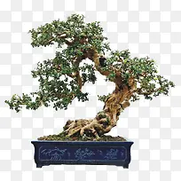 �ߵ������辰-������