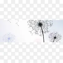 白色电视墙蒲公英清新背景banner-空若网 白色电视墙蒲公英清新背景banner-空若网