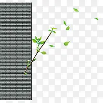 �ز����Ԫ��ǽ�ϵ���֦-������