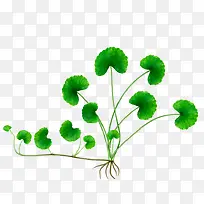 ��ѩ�ݲ��溦����-������