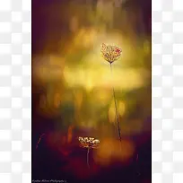 ��Ӱ����ģ�������ز�-������