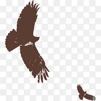 墨迹雄鹰-空若网 墨迹雄鹰-空若网