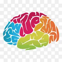 矢量大脑-空若网 矢量大脑-空若网