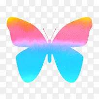 ����ɫ�ĺ���-������