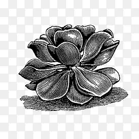 �ֻ��ɫ��������-������