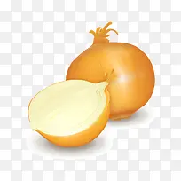 高清仿真农产品蔬菜矢量素材---空若网 高清仿真农产品蔬菜矢量素材---空若网