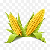 高清仿真农产品蔬菜矢量素材---空若网 高清仿真农产品蔬菜矢量素材---空若网