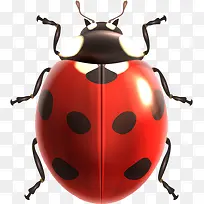 һֻư��-������