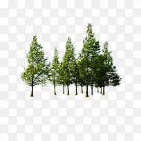 Ψ������������-������