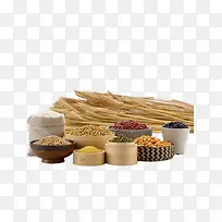 �������ʳ��-������