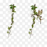 Ʈ����֦-������