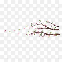 漂浮鲜花-空若网 漂浮鲜花-空若网