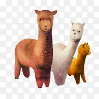 ��ͨ�ֻ������-������