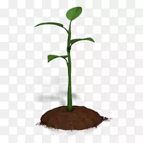 PowerPoint动画微软PowerPoint演示文献图-工厂-空若网 PowerPoint动画微软PowerPoint演示文献图-工厂-空若网