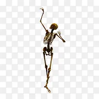 骸骨-空若网 骸骨-空若网