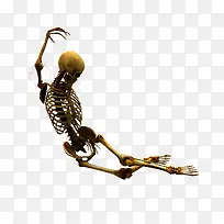 ����-������