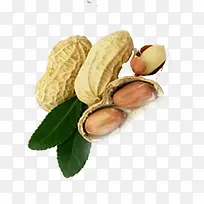 ����-������