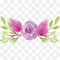 ˮ����ɫõ������-������