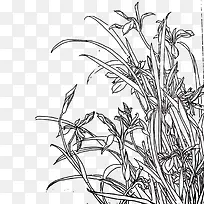 ����ֻ��-������