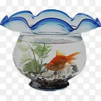 生态金鱼缸-空若网 生态金鱼缸-空若网