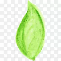 �߲�ʳƷˮ��Ҷˮ��Ҷ-������