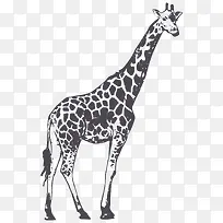黑色手绘长颈鹿动物-空若网 黑色手绘长颈鹿动物-空若网